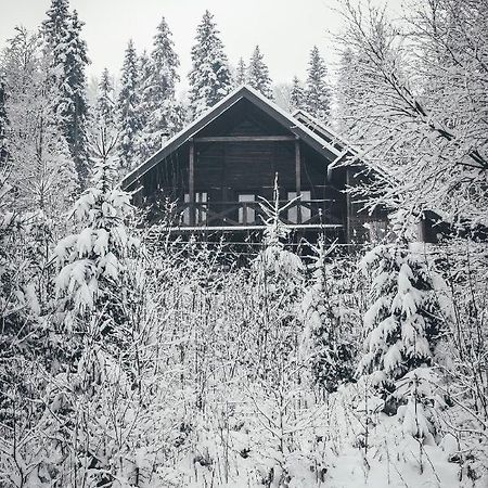 Chalet Shepit Karpat Bukovel Bagian luar foto