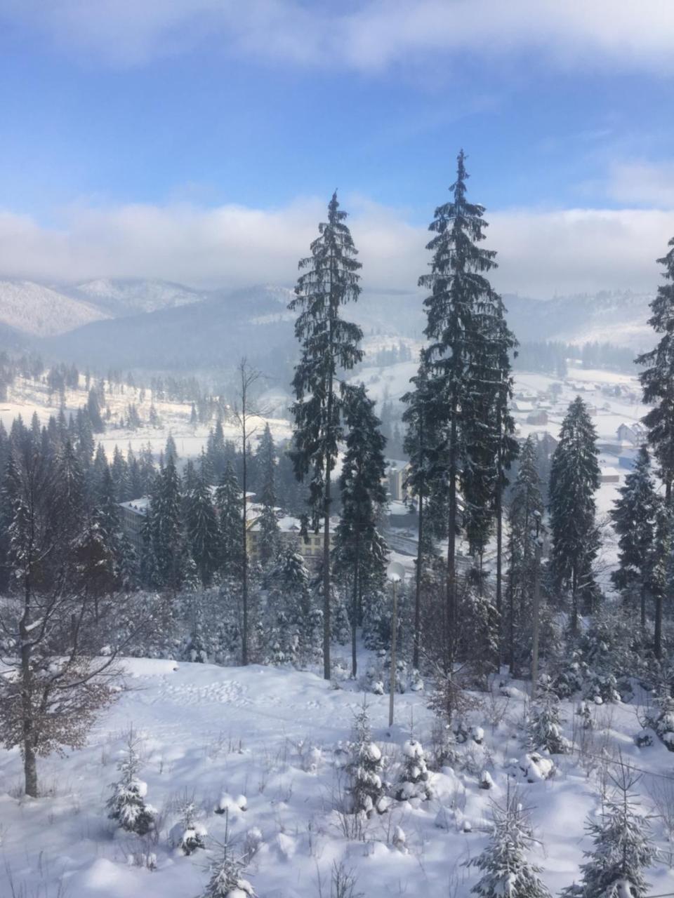 Chalet Shepit Karpat Bukovel Bagian luar foto
