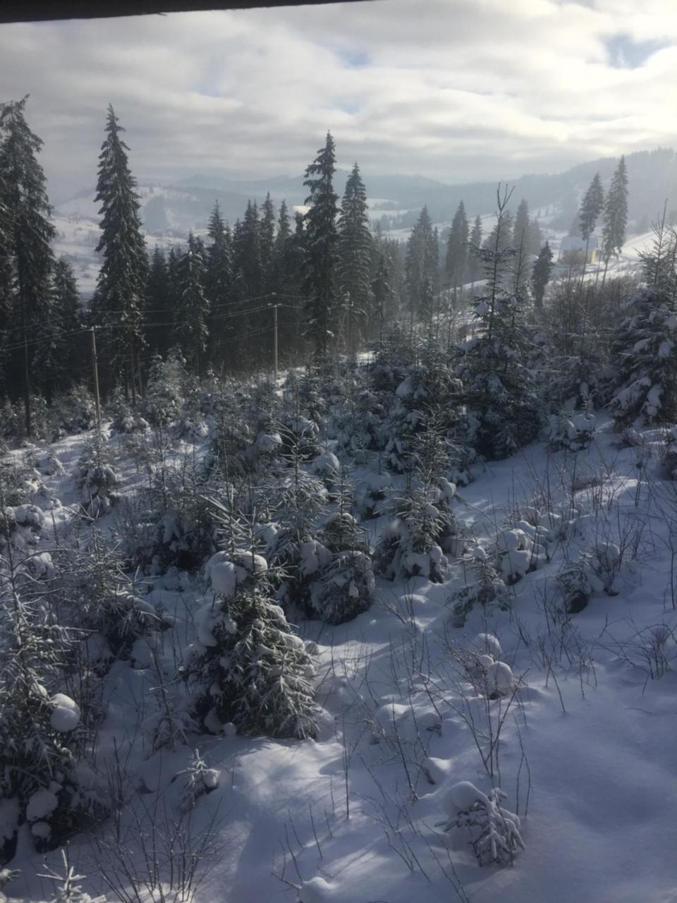 Chalet Shepit Karpat Bukovel Bagian luar foto