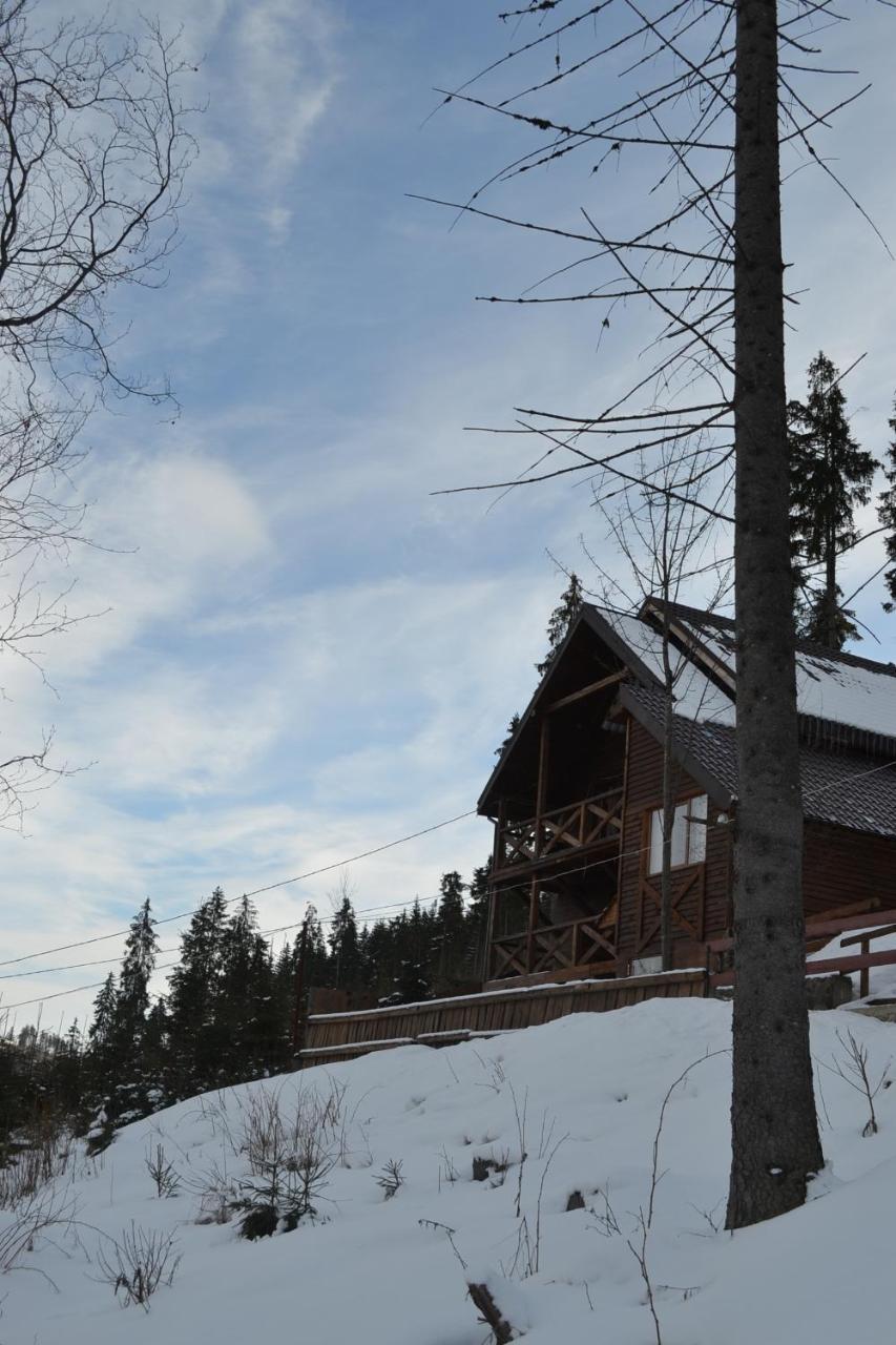 Chalet Shepit Karpat Bukovel Bagian luar foto